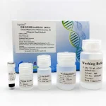 Serum/Plasma Free DNA Extraction Kit 231003