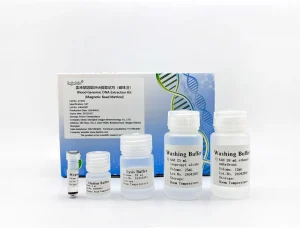 Blood Genomic DNA Extraction Kit 231010