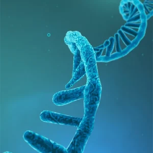 Total RNA Extraction Reagent