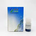 Magnetic Beads for Plasmid DNA Extraction and Purification 160024