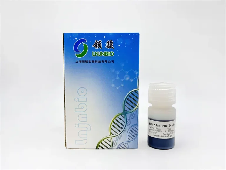 Magnetic Beads for Plasmid DNA Extraction and Purification 160024