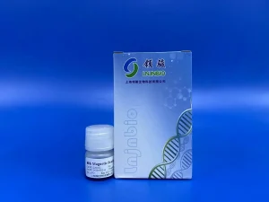 Magnetic Beads for Serum Plasma Free DNA 220022