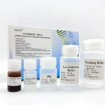 ccfDNA Extraction Kit 241005