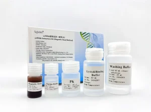 ccfDNA Extraction Kit 241005