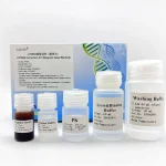 ccfDNA Extraction Kit 241005