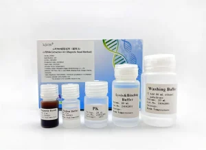 ccfDNA Extraction Kit 241005