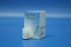 Magnetic Beads For Small DNA Fragments Extraction and Purification 160012 (2)