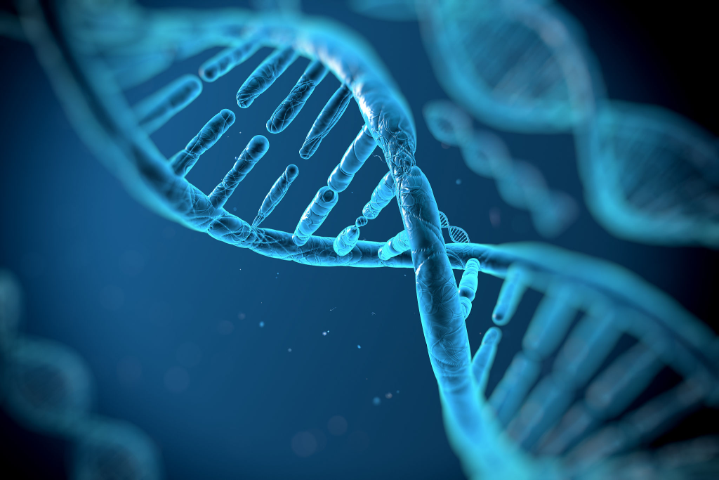 DNA Fragment Sorting