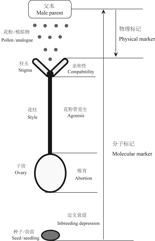 Analysis of pollen flow dynamics based on DNA molecular markers