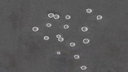 magnetic polymer microspheres