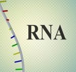 RNA structure, RNA preparation, RNA isolation, RNA preservation