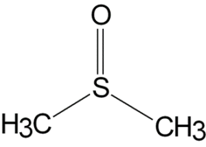 Protectants to maintain RNA integrity