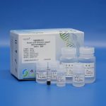 Plasmid DNA Rapid Extraction Kit 160866