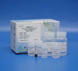 Plasmid DNA Rapid Extraction Kit 160866