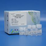 Bacteria Genomic DNA Extraction Kit 160886