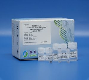 Bacteria Genomic DNA Extraction Kit 160886