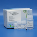 Fungal DNA/RNA Extraction Kit