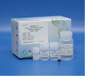 Fungal DNA/RNA Extraction Kit