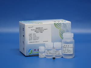 Plant Total RNA Extraction Kit 160933