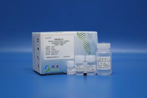 Whole Blood Genomic DNA Extraction Kit 231006