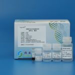 Viral DNA/RNA Extraction Kit