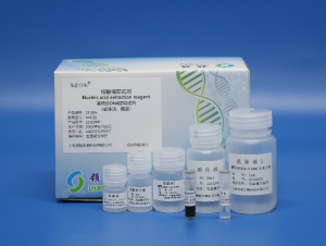 Stool Total DNA Extraction Kit 221005