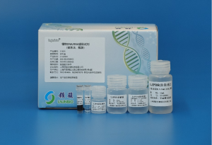 Plant DNA/RNA Extraction Kit