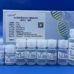 Endotoxin-free Plasmid DNA Extraction Kit for Large-volume Samples