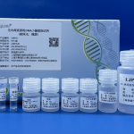 Endotoxin-free Plasmid DNA Extraction Kit for Small-volume Samples 241001S