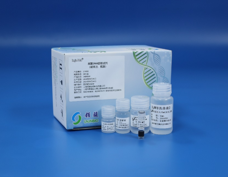 Fungal DNA Extraction Kit 231018