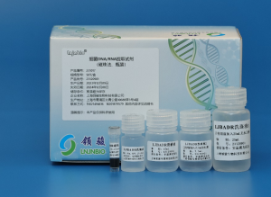 Bacteria DNA/RNA Extraction Kit 231017