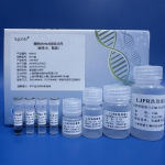 Plant Total RNA Extraction Kit 160933