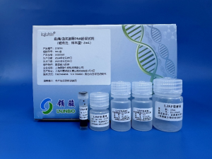 Serum/Plasma Free DNA Extraction Kit 231019L