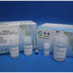 Stool Total DNA Extraction Kit