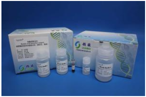 Stool Total DNA Extraction Kit