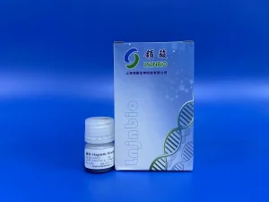 Magnetic Beads for Sequencing Reaction Product Purification