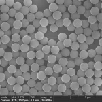 SEM image of 1.3 um polystyrene microspheres