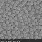 SEM images of 1 um polystyrene microspheres